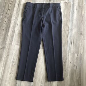 Ann Taylor Blue Dress Ankle Pants Size 6P